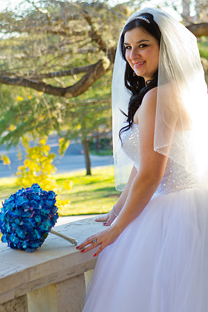2011-12-26 - Elizabeth Bryce Bridal Portraits-145