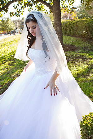 2011-12-26 - Elizabeth Bryce Bridal Portraits-65