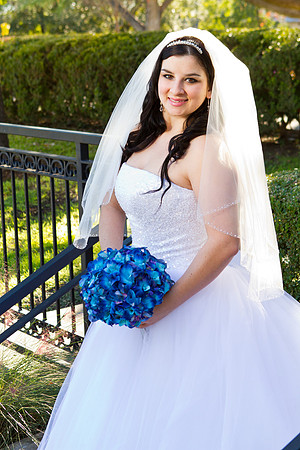 2011-12-26 - Elizabeth Bryce Bridal Portraits-53