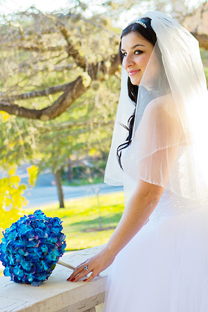 2011-12-26 - Elizabeth Bryce Bridal Portraits-146 copy