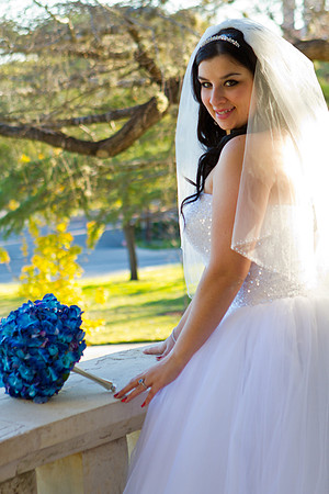 2011-12-26 - Elizabeth Bryce Bridal Portraits-144