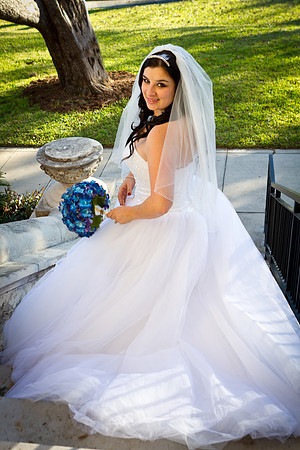 2011-12-26 - Elizabeth Bryce Bridal Portraits-235