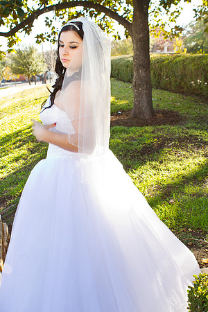 2011-12-26 - Elizabeth Bryce Bridal Portraits-69