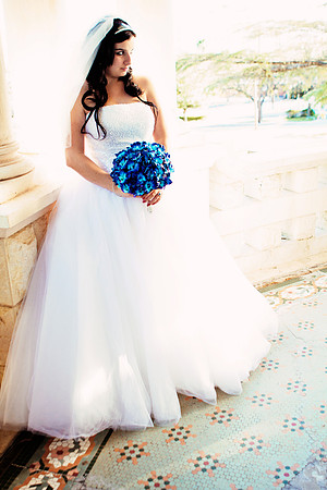 2011-12-26 - Elizabeth Bryce Bridal Portraits-119 vlvt