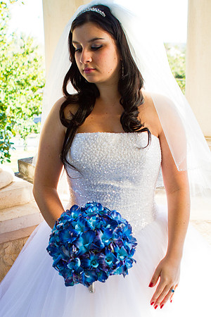 2011-12-26 - Elizabeth Bryce Bridal Portraits-126