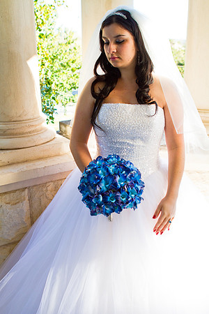 2011-12-26 - Elizabeth Bryce Bridal Portraits-124