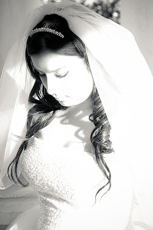 2011-12-26 - Elizabeth Bryce Bridal Portraits-121