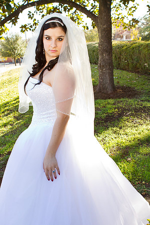 2011-12-26 - Elizabeth Bryce Bridal Portraits-70