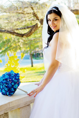 2011-12-26 - Elizabeth Bryce Bridal Portraits-144 copy