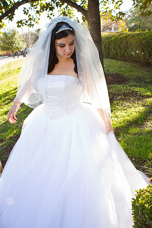 2011-12-26 - Elizabeth Bryce Bridal Portraits-66
