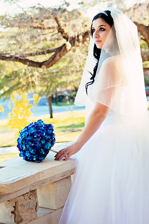 2011-12-26 - Elizabeth Bryce Bridal Portraits-149 vlvt