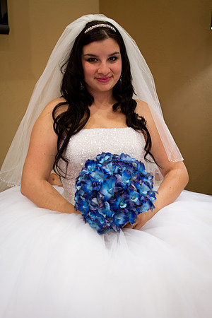 2011-12-26 - Elizabeth Bryce Bridal Portraits-15