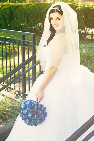 2011-12-26 - Elizabeth Bryce Bridal Portraits-62 copy