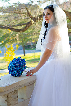 2011-12-26 - Elizabeth Bryce Bridal Portraits-149