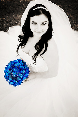 2011-12-26 - Elizabeth Bryce Bridal Portraits-326CSplsh