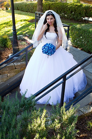 2011-12-26 - Elizabeth Bryce Bridal Portraits-37