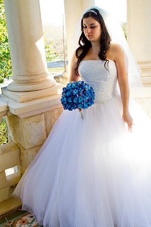 2011-12-26 - Elizabeth Bryce Bridal Portraits-132