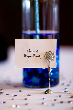 2012-1-15 - Elizabeth & Coy Potts Wedding  (178)