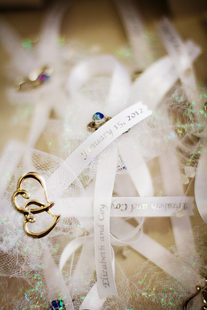 2012-1-15 - Elizabeth & Coy Potts Wedding  (17)