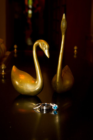 2012-1-15 - Elizabeth & Coy Potts Wedding  (331)