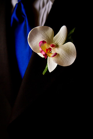 2012-1-15 - Elizabeth & Coy Potts Wedding  (480)